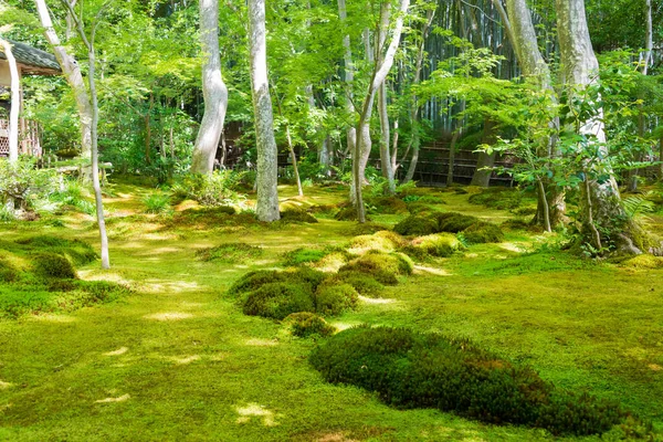 Kyoto Japan Gio Temple Kyoto Japan Temple Modest Thatched Hut — Stock Photo, Image