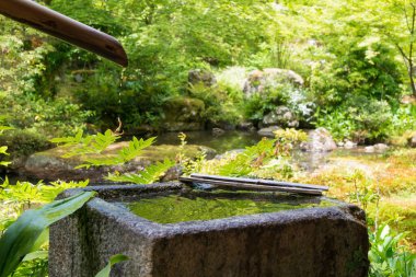 Kyoto, Japonya - Japonya 'daki Jissoin Tapınağı. Jissoin 1229 yılında rahip Joki tarafından kuruldu..