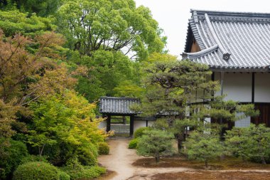 Kyoto, Japonya - Japonya 'daki Zuishin Tapınağı. Tapınak 991 'de kuruldu..