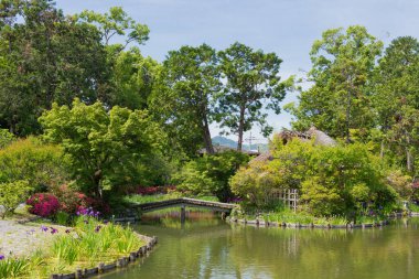 Kyoto, Japonya - Japonya 'daki Umenomiya Tapınağı Bahçesi (Umenomiya taisha). Sake tanrısını kutsayan türbe (Japon pirinç şarabı)).