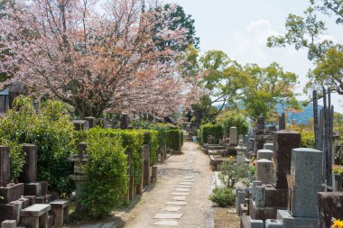 Kyoto, Japonya - Japonya 'daki Konkaikomyo-ji Tapınağı' nda bir mezarlık. Tapınak 1175 yılında inşa edildi ve Kurodani Tapınağı olarak da bilinir..