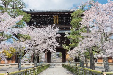 Kyoto, Japonya - Japonya, Kyoto 'daki Konkaikomyo-ji Tapınağı' nda kiraz çiçekleri. Tapınak 1175 yılında inşa edildi ve Kurodani Tapınağı olarak da bilinir..