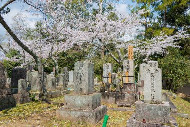 Kyoto, Japonya - Japonya, Kyoto 'daki Konkaikomyo-ji Tapınağı' ndaki Aizu mezarlığı. Edo Dönemi 'nin son günlerinde tapınak bölgesinde konuşlanmış Aizu klanı savaşçılarının mezarları..