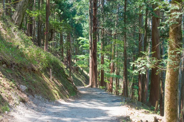 Shiga Japan Yokawa Området Vid Enryakuji Templet Otsu Shiga Japan — Stockfoto