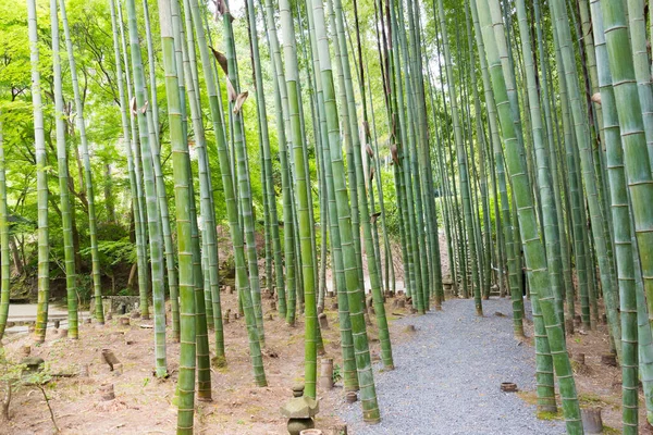 Kjóto Japonsko Chrám Enko Japonském Kjótu Chrám Enko Byl Původně — Stock fotografie