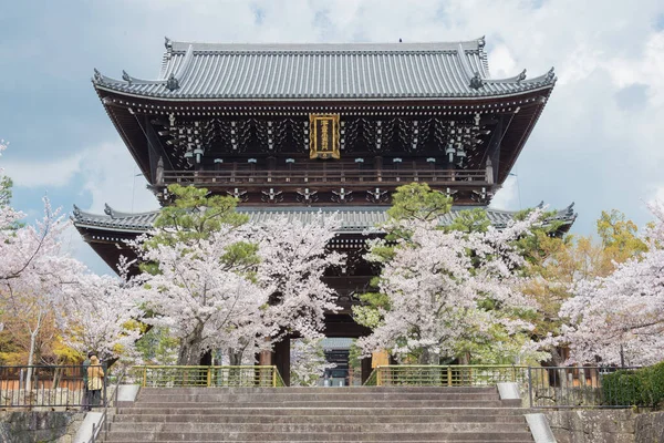 Kyoto Japonya Japonya Kyoto Daki Konkaikomyo Tapınağı Nda Kiraz Çiçekleri — Stok fotoğraf
