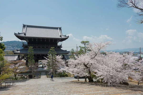 Kyoto Giappone Fiori Ciliegio Tempio Konkaikomyo Kyoto Giappone Tempio Originariamente — Foto Stock