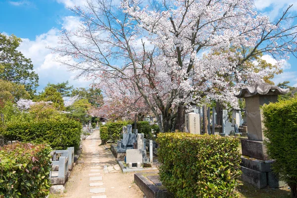 Kyoto Japan Kyrkogård Vid Konkaikomyo Temple Kyoto Japan Templet Byggdes — Stockfoto