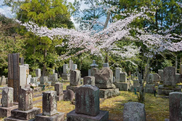 Kyoto Japan Aizu Cemetery Konkaikomyo Temple Kyoto Japan Graves Aizu Stock Picture