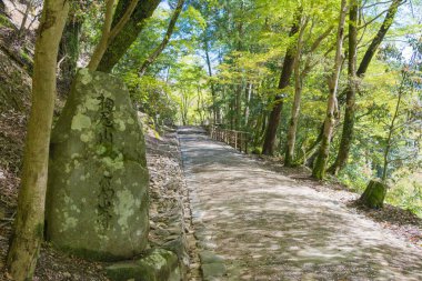 Kyoto, Japonya - Kyoto, Japonya 'daki Kozan-ji Tapınağı' na yaklaş. Tapınak, UNESCO Dünya Mirası Alanının bir parçası - Antik Kyoto Tarihi Anıtları.