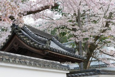 Kyoto, Japonya - Kyoto, Japonya 'daki Nanzen-ji Tapınağı. İmparator Kameyama bunu 1291 'de bir önceki müstakil sarayında kurdu..