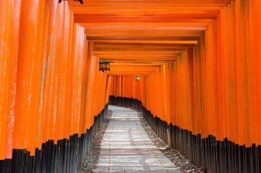 Kyoto, Japonya - Fushimi Inari Taisha Tapınağındaki Red Torii Kapısı, Fushimi, Kyoto, Japonya. Fushimi Inari Taisha, Kyoto 'nun en önemli Shinto tapınağı ve en etkileyici yerlerinden biridir.