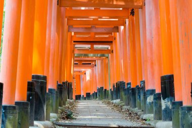 Kyoto, Japonya - Fushimi Inari Taisha Tapınağındaki Red Torii Kapısı, Fushimi, Kyoto, Japonya. Fushimi Inari Taisha, Kyoto 'nun en önemli Shinto tapınağı ve en etkileyici yerlerinden biridir.