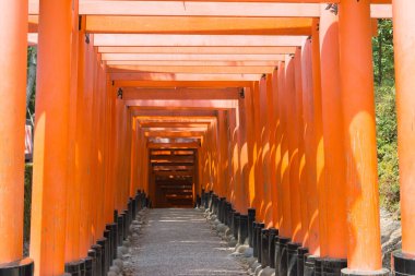 Kyoto, Japonya - Fushimi Inari Taisha Tapınağındaki Red Torii Kapısı, Fushimi, Kyoto, Japonya. Fushimi Inari Taisha, Kyoto 'nun en önemli Shinto tapınağı ve en etkileyici yerlerinden biridir.