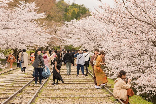 Kyoto Japón Flores Cerezo Largo Del Sitio Keage Incline Kyoto — Foto de Stock