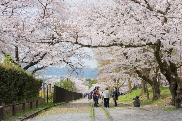 Kyoto Japonya Japonya Nın Kyoto Şehrinde Keage Incline Bölgesi Boyunca — Stok fotoğraf