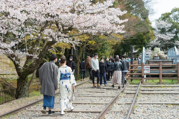 Kyoto Japan Cherry Blossoms Site Keage Incline Kyoto Japan Keage — Stock Photo, Image