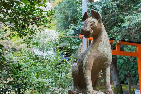 京都の男豊神社の守護狐像 創建は仁和4年 887年 — ストック写真