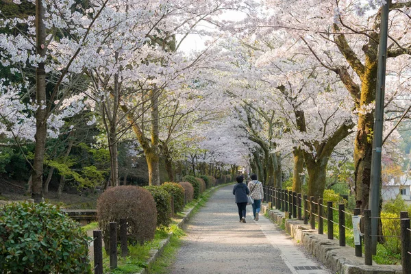 Kyoto Japan Filosofernas Vandring Tetsugaku Michi Kyoto Japan Det Gångväg — Stockfoto