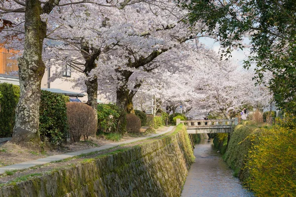 Kyoto Japão Passeio Filosofal Tetsugaku Michi Kyoto Japão Caminho Pedestre — Fotografia de Stock