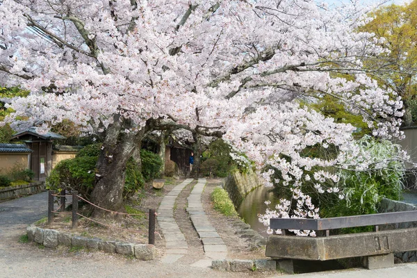 Kyoto Japonya Japonya Filozof Yürüyüşü Tetsugaku Michi Burası Ginkaku Nanzen — Stok fotoğraf