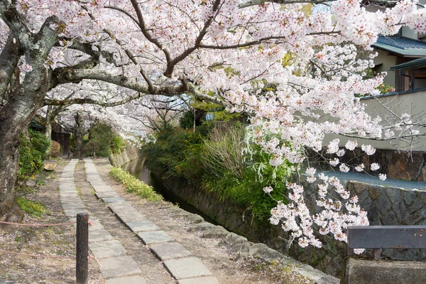 Kyoto Japonya Japonya Filozof Yürüyüşü Tetsugaku Michi Burası Ginkaku Nanzen — Stok fotoğraf