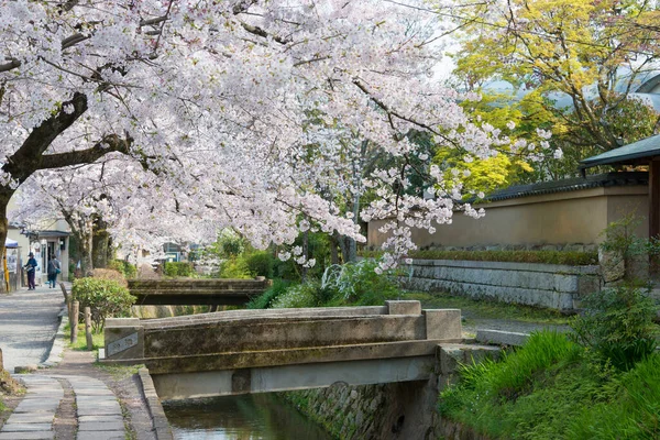 Kyoto Japón Philosopher Walk Tetsugaku Michi Kyoto Japón Sendero Peatonal — Foto de Stock