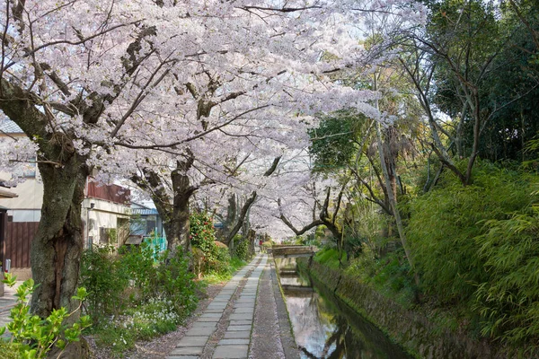 Kyoto Japón Philosopher Walk Tetsugaku Michi Kyoto Japón Sendero Peatonal — Foto de Stock