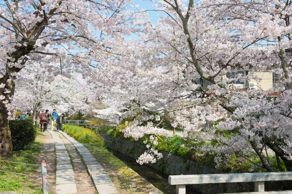 Kyoto Japón Philosopher Walk Tetsugaku Michi Kyoto Japón Sendero Peatonal — Foto de Stock