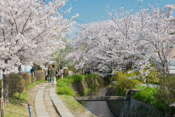 Kyoto Japón Philosopher Walk Tetsugaku Michi Kyoto Japón Sendero Peatonal — Foto de Stock