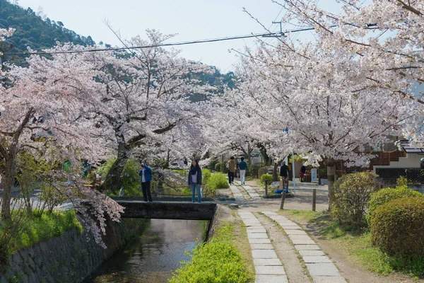 Kyoto Japón Philosopher Walk Tetsugaku Michi Kyoto Japón Sendero Peatonal — Foto de Stock