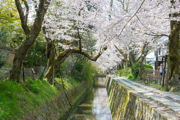 Kyoto Japón Philosopher Walk Tetsugaku Michi Kyoto Japón Sendero Peatonal — Foto de Stock