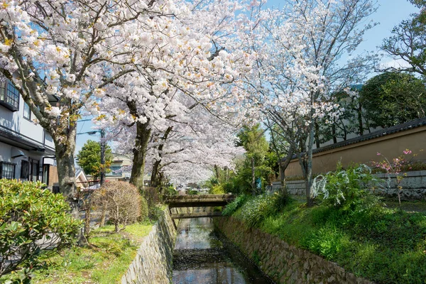 Kyoto Japonya Japonya Filozof Yürüyüşü Tetsugaku Michi Burası Ginkaku Nanzen — Stok fotoğraf