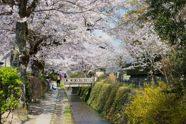 Kyoto Japan Filosofernas Vandring Tetsugaku Michi Kyoto Japan Det Gångväg — Stockfoto