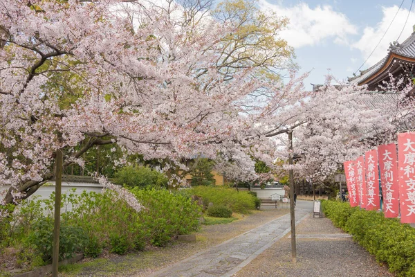 Kyoto Japonya Kyoto Japonya Daki Honpo Tapınağı Tapınak Ilk Olarak — Stok fotoğraf