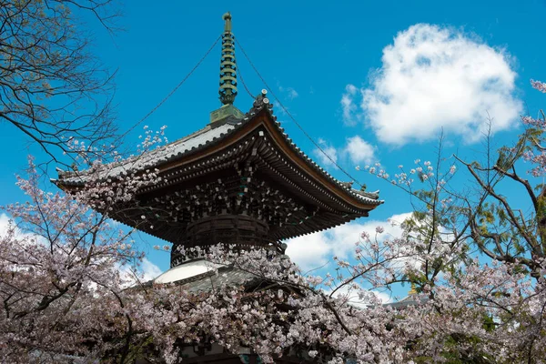 Kjóto Japonsko Chrám Honpo Japonském Kjótu Chrám Byl Původně Postaven — Stock fotografie