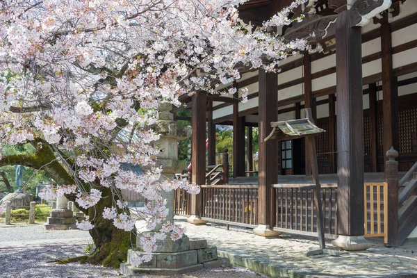 Kyoto Japonya Kyoto Japonya Daki Honpo Tapınağı Tapınak Ilk Olarak — Stok fotoğraf