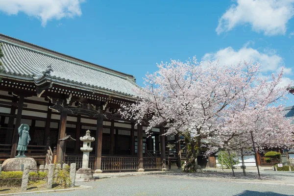 Kyoto Japan Körsbärsblomma Vid Honpo Temple Kyoto Japan Templet Byggdes — Stockfoto