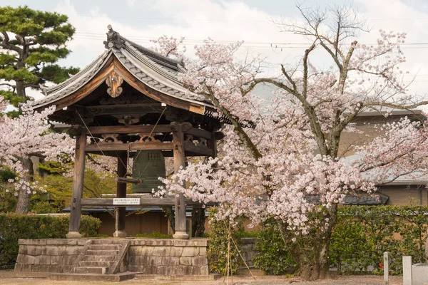 Kyoto Japan Kirsebærblomst Ved Myoken Templet Kyoto Japan Templet Oprindeligt - Stock-foto