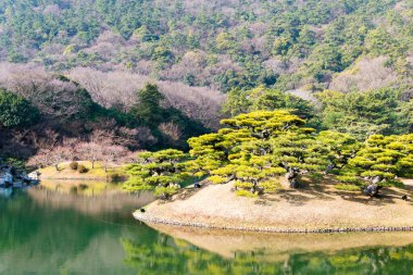 Kagawa, Japonya - Takamatsu, Kagawa, Japonya 'daki Ritsurin Bahçesi. Ritsurin Bahçesi Japonya 'nın en ünlü tarihi bahçelerinden biridir..
