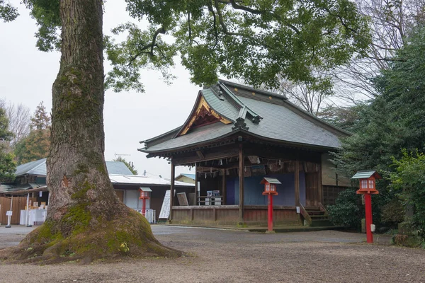 佐田市 Saitama 日本佐田市仓木市的瓦希诺米亚神龛 已有两千多年的历史了 阿尼梅圣地 — 图库照片
