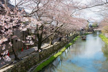 Shiga, Japonya - Omihachiman, Shiga, Japonya 'da geleneksel mimari koruma bölgesi.