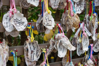 Kanagawa, Japonya - Japonya, Kanagawa 'daki Hasedera Tapınağı' nda istiridye dua tableti (Ema). Tapınak ilk olarak 736 yılında inşa edildi..