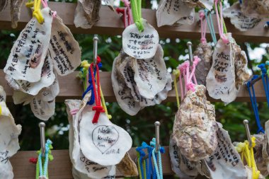 Kanagawa, Japonya - Japonya, Kanagawa 'daki Hasedera Tapınağı' nda istiridye dua tableti (Ema). Tapınak ilk olarak 736 yılında inşa edildi..