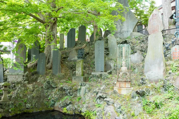 Тиба Япония Нарита Синсё Дзи Нарите Тиба Япония Храм Основан — стоковое фото
