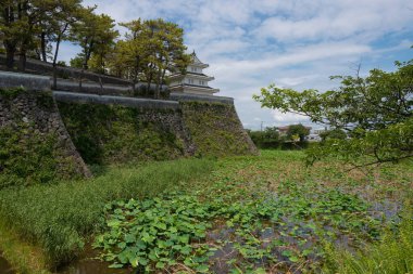 Nagasaki, Japonya - Shimabara, Nagasaki, Japonya 'daki Shimabara kalesi. Şato ilk olarak 1624 yılında inşa edildi ve 1964 yılında yeniden inşa edildi..