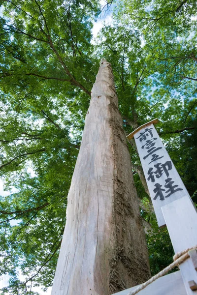 Нагано Япония Онбасира Святилище Сува Таиша Suwa Grand Shrine Камиша — стоковое фото