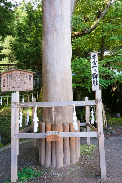 Nagano Japonya Suwa Taisha Daki Onbashira Suwa Grand Shrine Suwa — Stok fotoğraf