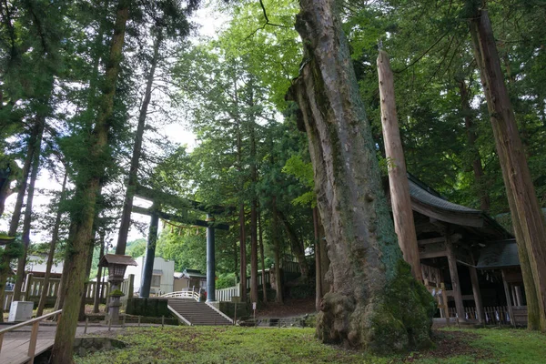 Nagano Japón Suwa Taisha Gran Santuario Suwa Kamisha Honmiya Suwa — Foto de Stock