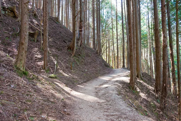 岐阜県の観光スポット口コミランキング Triproud岐阜県中津川市中山道の妻子宿と馬込宿の間からの絶景です 中山道は古代の道として有名です — ストック写真